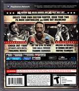The Fight Lights Out Back CoverThumbnail